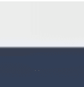 White/Navy