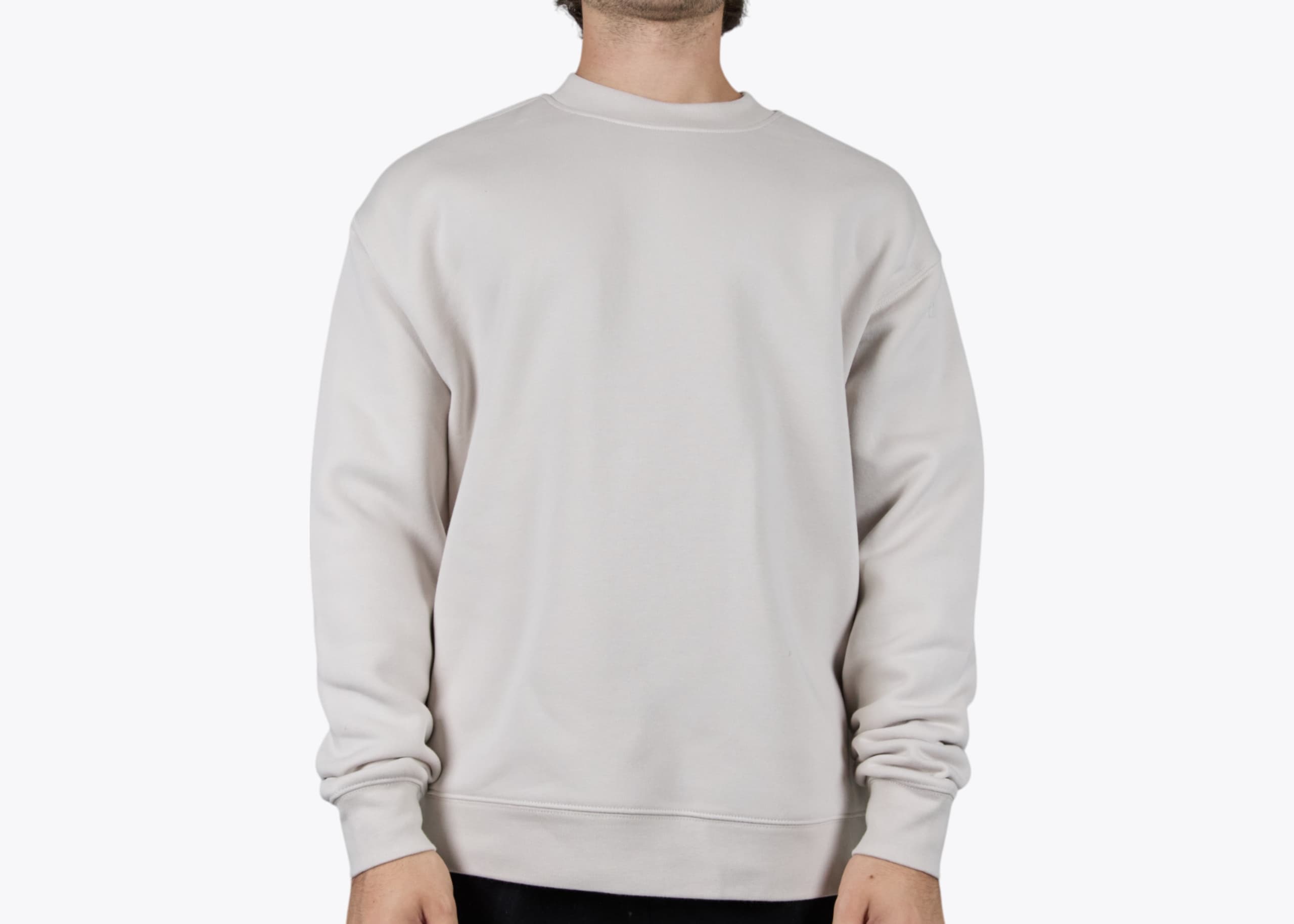 AS Colour 5160 Relax Crew in Bone (model:male, size:medium, view:front)